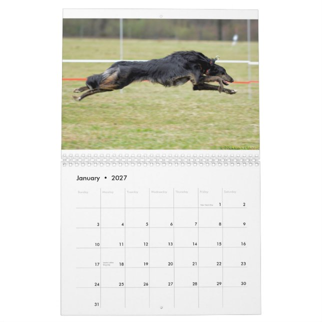 Calendrier 2015 Windhounds de soie dans l'action (Jan 2027)
