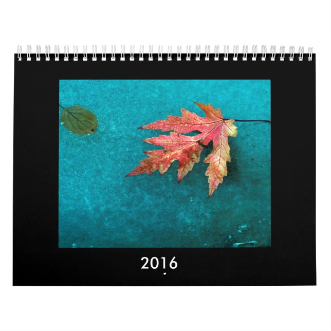 Calendrier 2016 de photo (Protection)