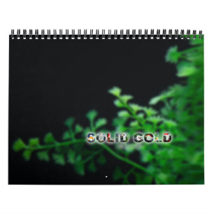 Calendrier 2016 de poisson rouge d'OR MASSIF de