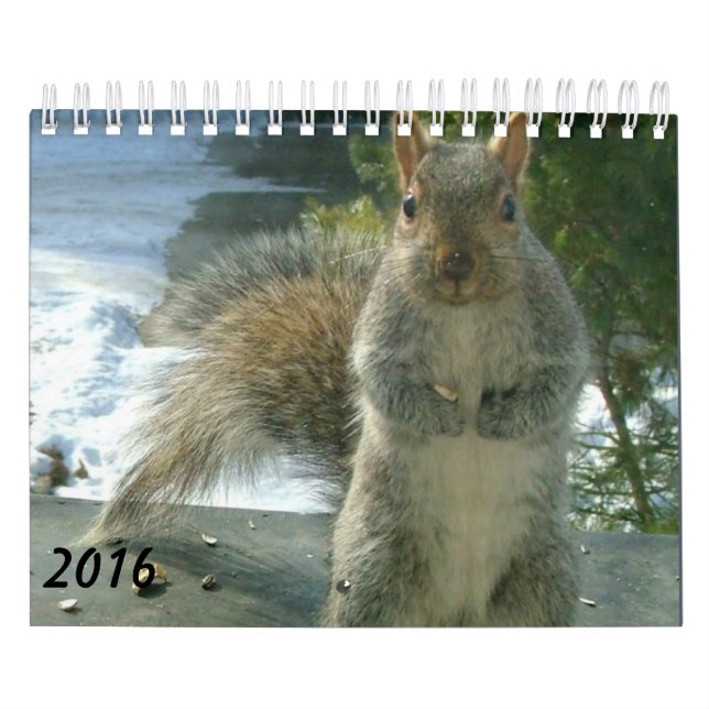 Calendrier 2016 d'écureuil (Protection)
