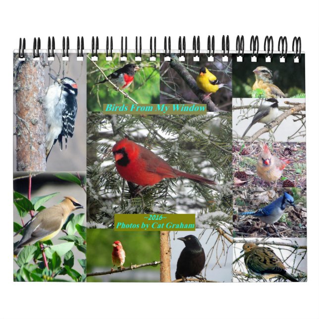 Calendrier 2016 Des Oiseaux De Ma Fenêtre (Protection)