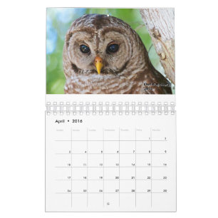 Calendrier 2016 d'OwlWatch