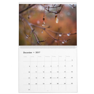 Calendrier 2017 calendrier, photos par Eric Johnson