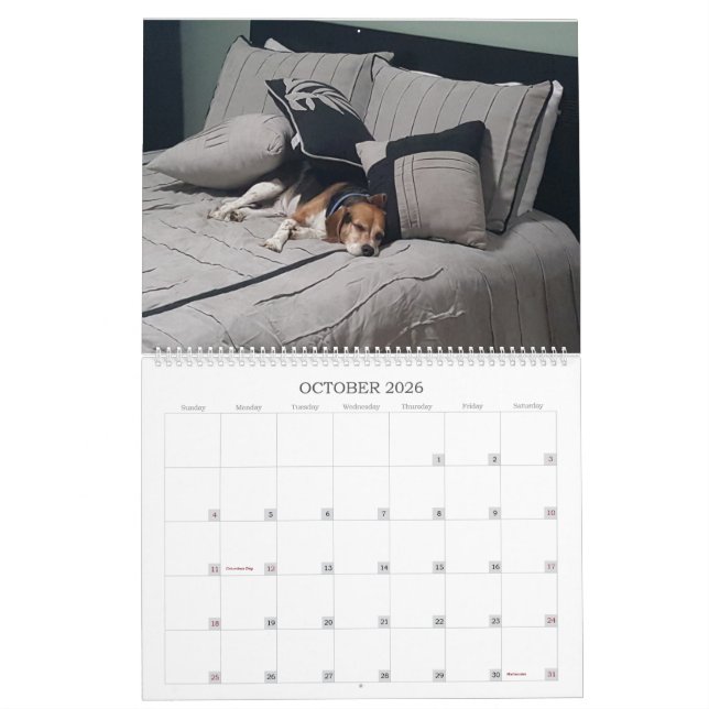 Calendrier 2017 de beagle (Oct 2026)