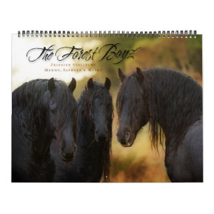 Calendrier 2017 de Boyz de forêt