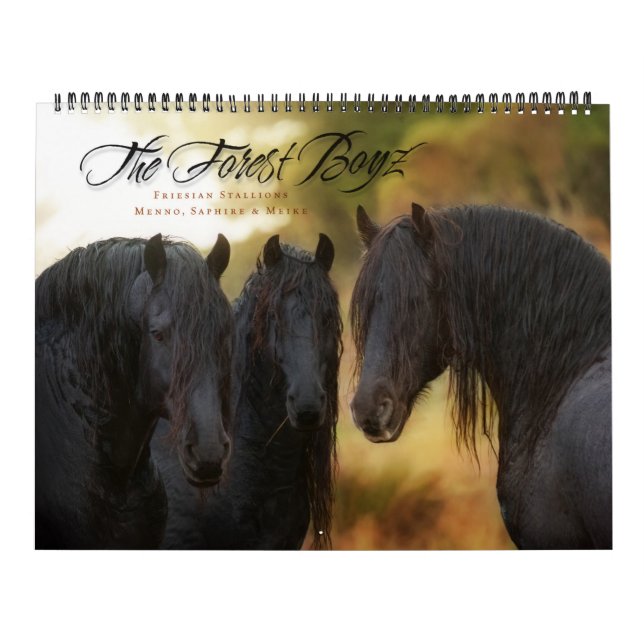 Calendrier 2017 de Boyz de forêt (Protection)