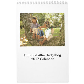 Calendrier 2017 de poupée de hérisson