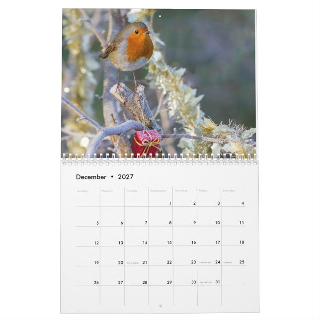 Calendrier 2017 de Robin (Dec 2027)