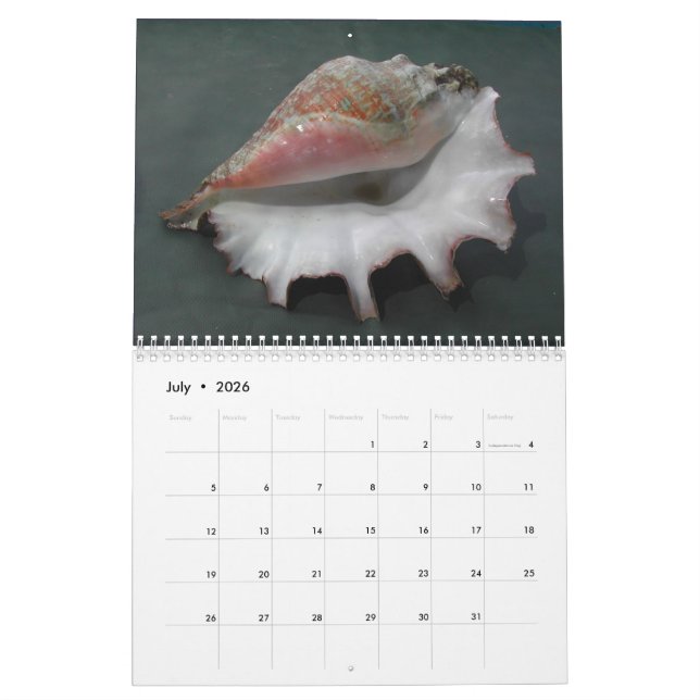 Calendrier 2017 des coquilles (Jul 2026)