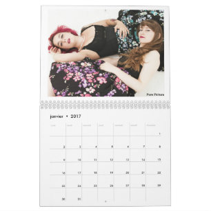 Calendrier 2017 " Les Owlies"