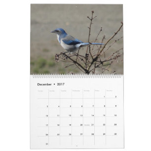 Calendrier 2017 oiseaux de l'Amérique du Nord