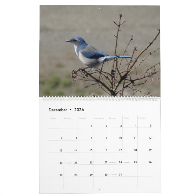 Calendrier 2017 oiseaux de l'Amérique du Nord (Dec 2026)