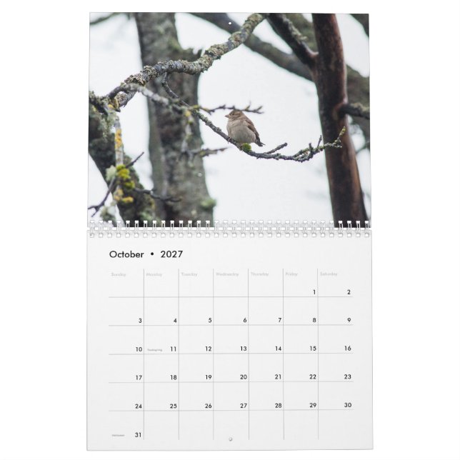 Calendrier 2017 par prélèvement de Barbara (Oct 2027)