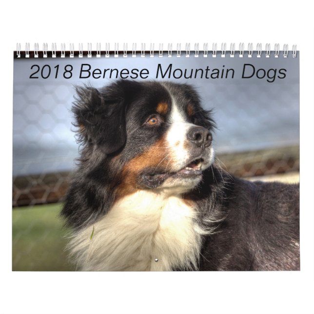Calendrier 2018 de chien de montagne de Bernese (Protection)