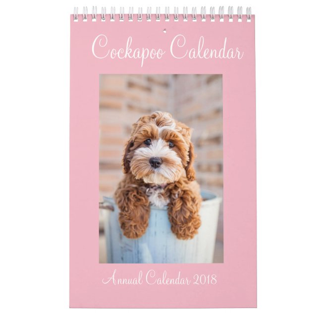 Calendrier 2018 de Cockapoo (Protection)