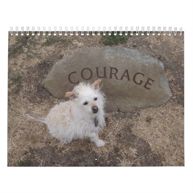 Calendrier 2018 de Gwendolyn (Protection)