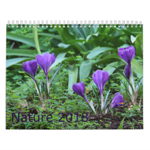 Calendrier 2018 de nature