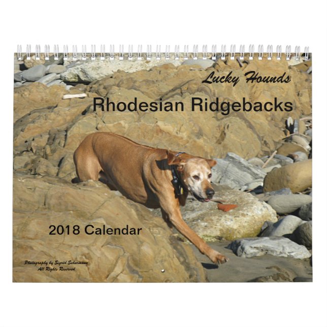 Calendrier 2018 de Rhodesian Ridgeback (Protection)
