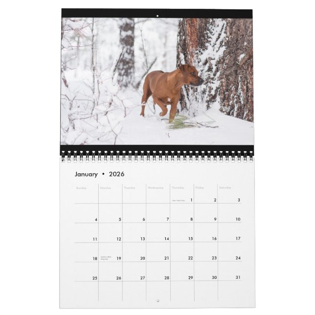 Calendrier 2018 de Rhodesian Ridgeback (Jan 2026)