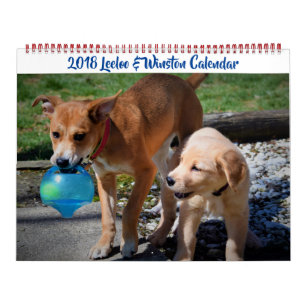 Calendrier 2018 Leeloo & Winston Grand 2 Page