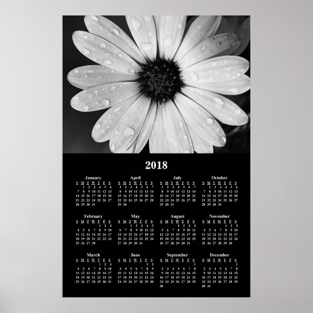 Calendrier 2018 Poster Marguerites Africaines (Devant)