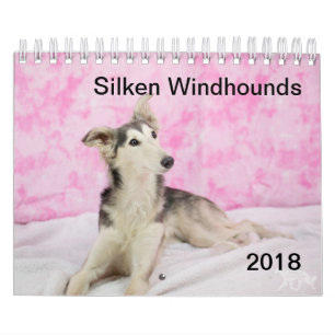 Calendrier 2018 Windhounds de soie (autre)