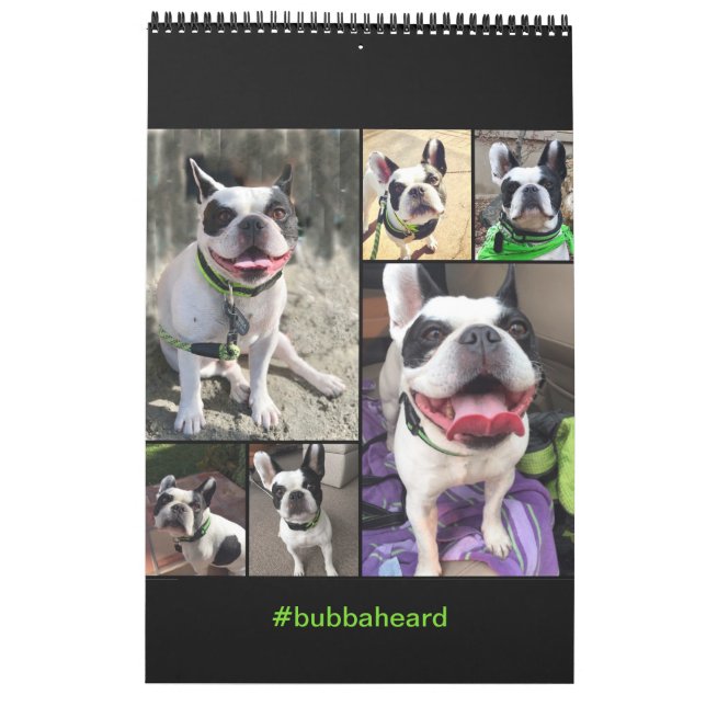 Calendrier 2019 de Bubba Louie (Dos)