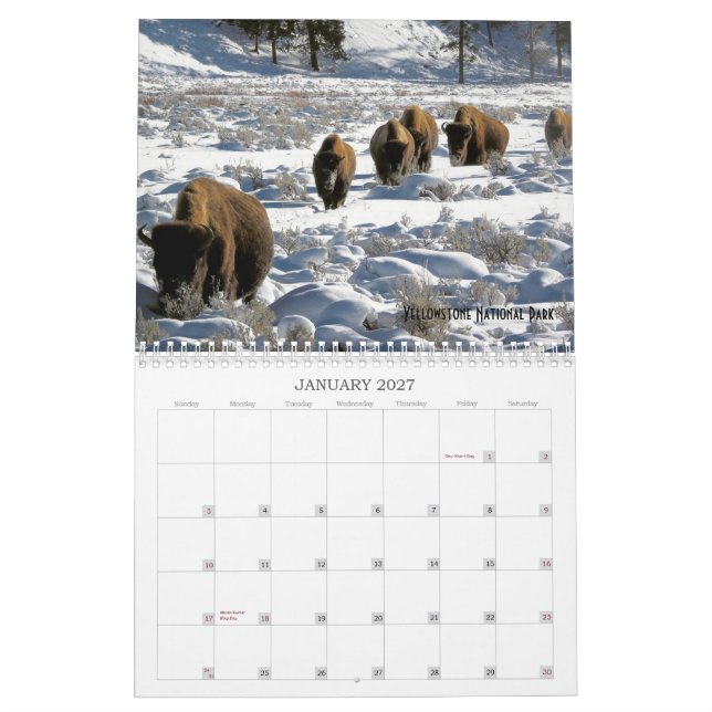 Calendrier 2019 de la faune des terres publiques d (Jan 2027)