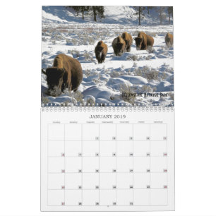Calendrier 2019 de la faune des terres publiques d