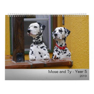 Calendrier 2019 de Mose et de Ty