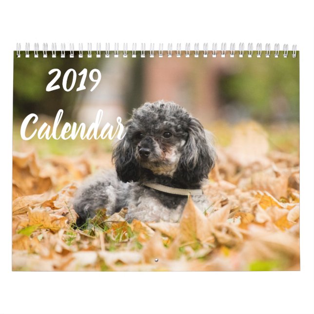 Calendrier 2019 mignon Poodle Chien Images (Protection)