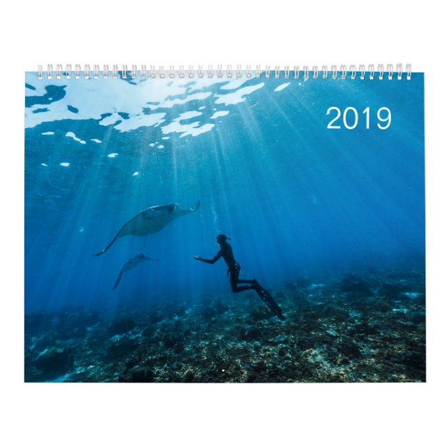Calendrier 2019 - Sous la surface de l'océan (Protection)