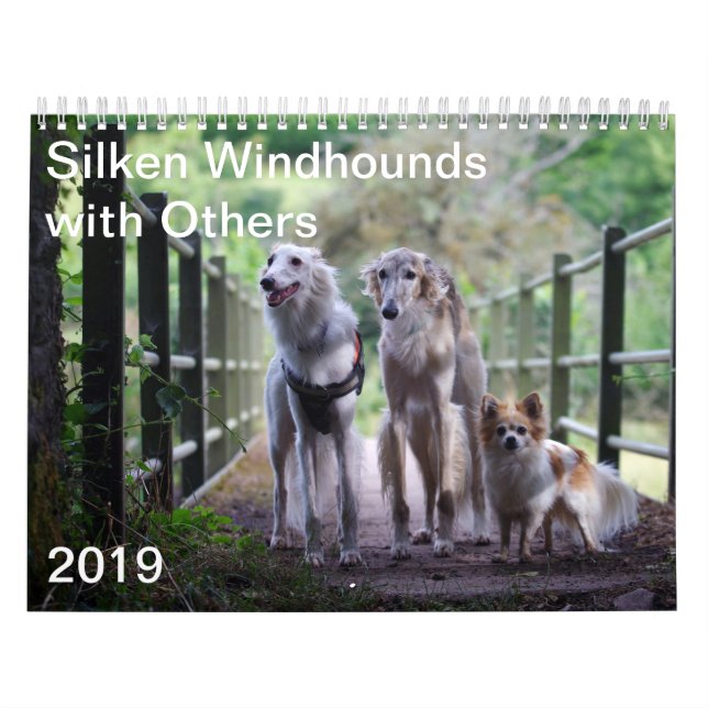 Calendrier 2019 Windhounds de soie avec d'autres (Protection)