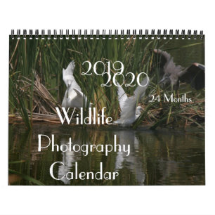Calendrier 2020 de la photographie 2019 de faune