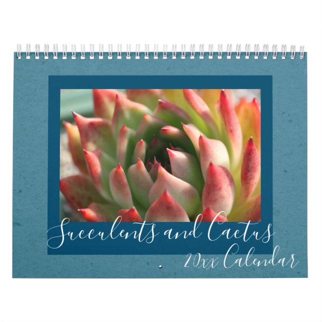 Calendrier 2020 Modern Script Succulents et Cactus (Protection)