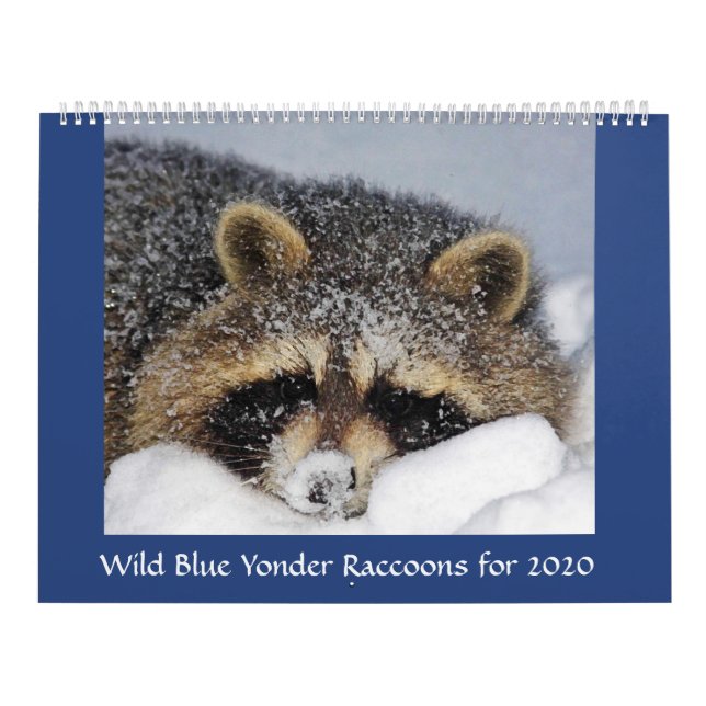 Calendrier 2020 Raccoon de Wild Blue Yonder. (Protection)