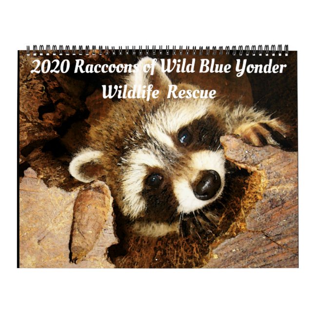 Calendrier 2020 Raccoons of Wild Blue Yonder Wildlife Secourt (Protection)
