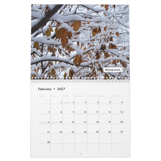 Calendrier 2021 (Feb 2027)