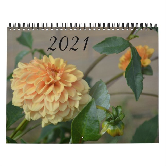 Calendrier 2021 avec 12 mois de dahlias (Protection)