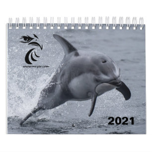 Calendrier 2021 - Dauphins à face blanche du Paci