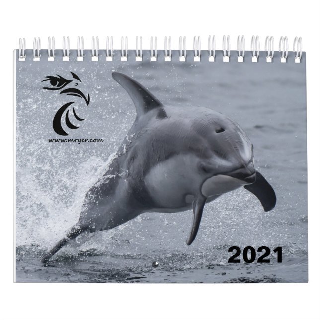 Calendrier 2021 - Dauphins à face blanche du Pacif (Protection)