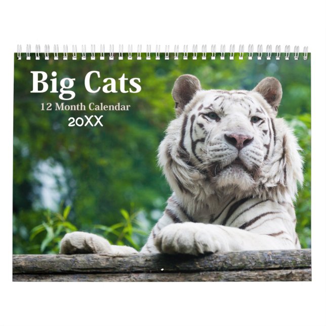 Calendrier 2021 de la faune des Big Cats (Protection)