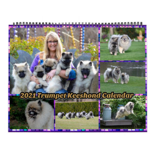 Calendrier 2021 de la trompette Keeshond