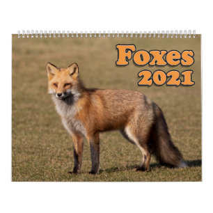 Calendrier 2021 des Renards Rouges