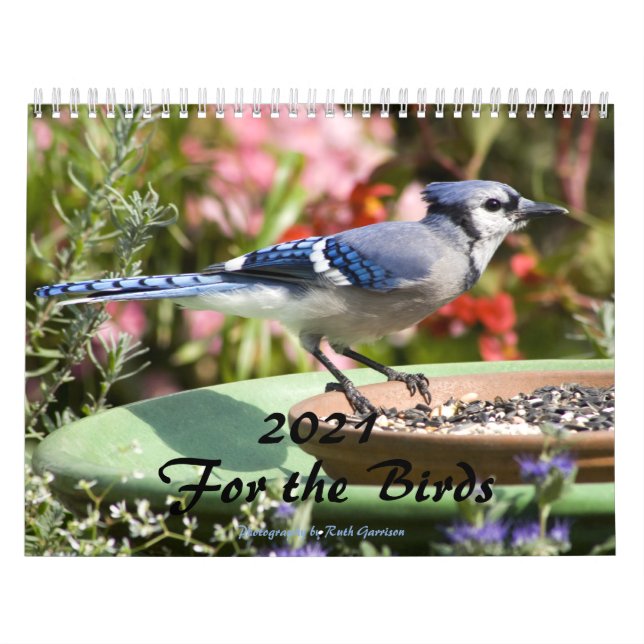 Calendrier 2021 Pour les oiseaux (Protection)