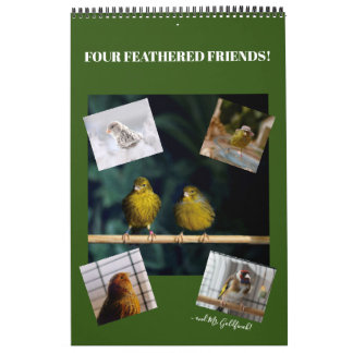 Calendrier 2021 Wall Calendar Mignons Oiseaux Animaux Animaux