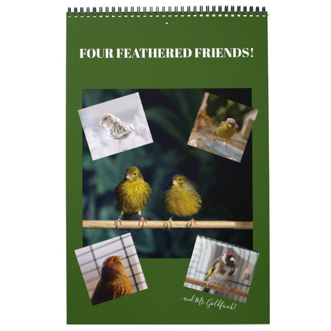Calendrier 2021 Wall Calendar Mignons Oiseaux Animaux Animaux (Protection)