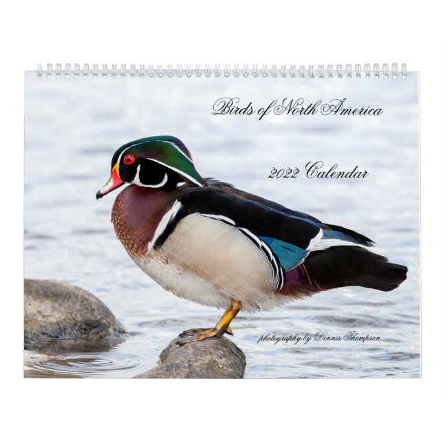 Calendrier 2022 Birds of North America Calendar (Protection)