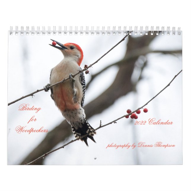 Calendrier 2022 de l'oiseau pour pics-bois (Protection)