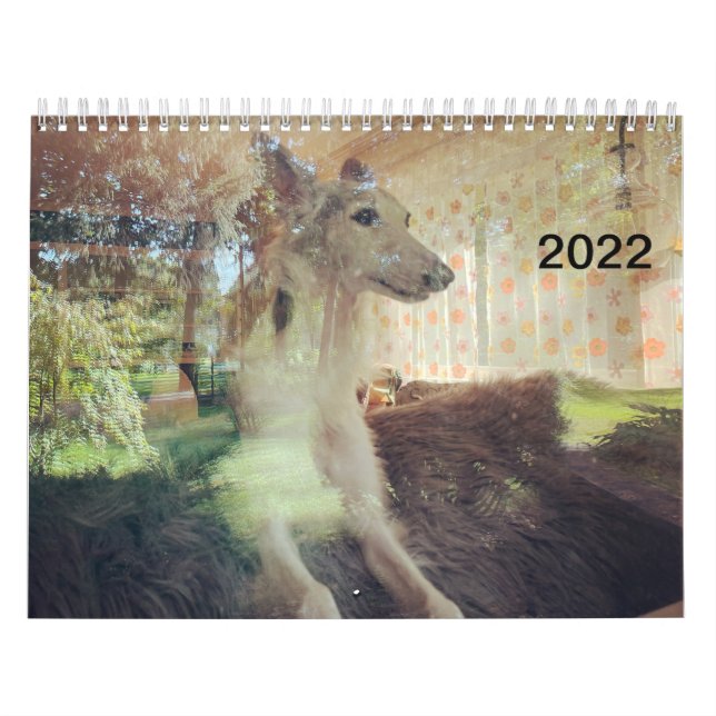 Calendrier 2022 Silken Windhounds (Repose) (Protection)